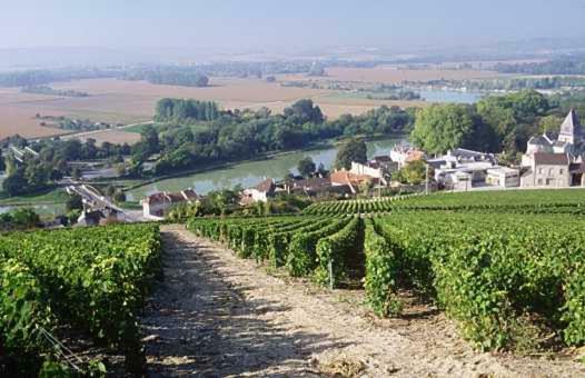Mareuil-sur-Ay Le Clos Corbier المظهر الخارجي الصورة