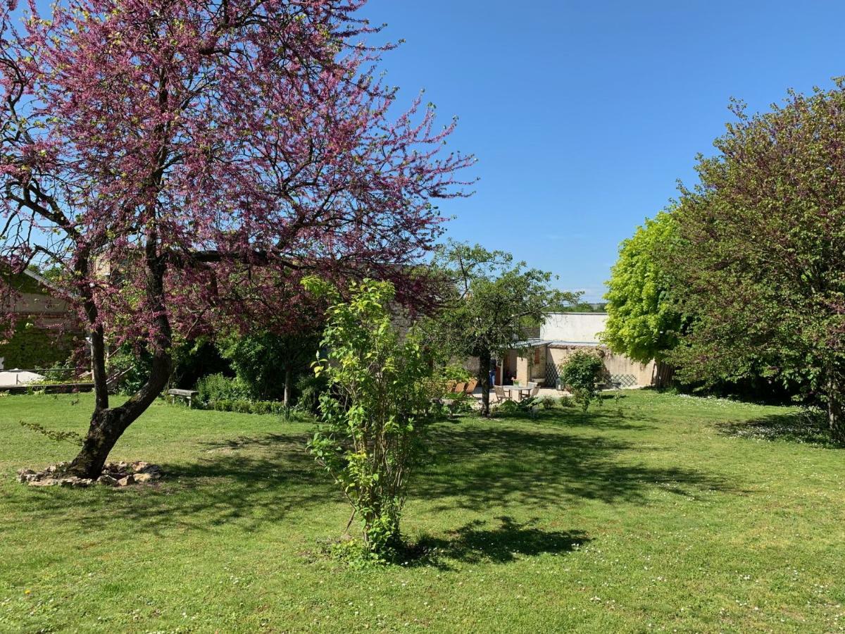 Mareuil-sur-Ay Le Clos Corbier المظهر الخارجي الصورة